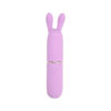 n12252 nauti petites 10 speed rabbit ears bullet vibrator