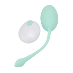 n12426 tabooboo take me back to bed remote love egg 1