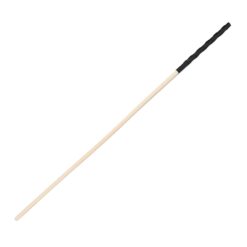 n12774 bound to please spanking cane 1