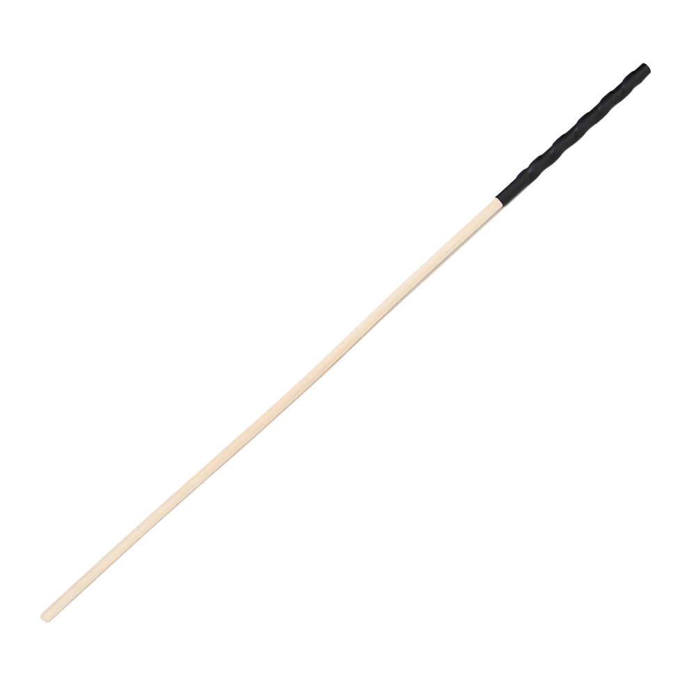 n12774 bound to please spanking cane 1 n12774 bound to please spanking cane 1