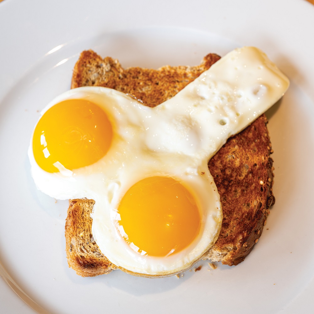 n7394 willie egg fryer 3 n7394 willie egg fryer 3